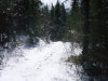 fresh snow on trail