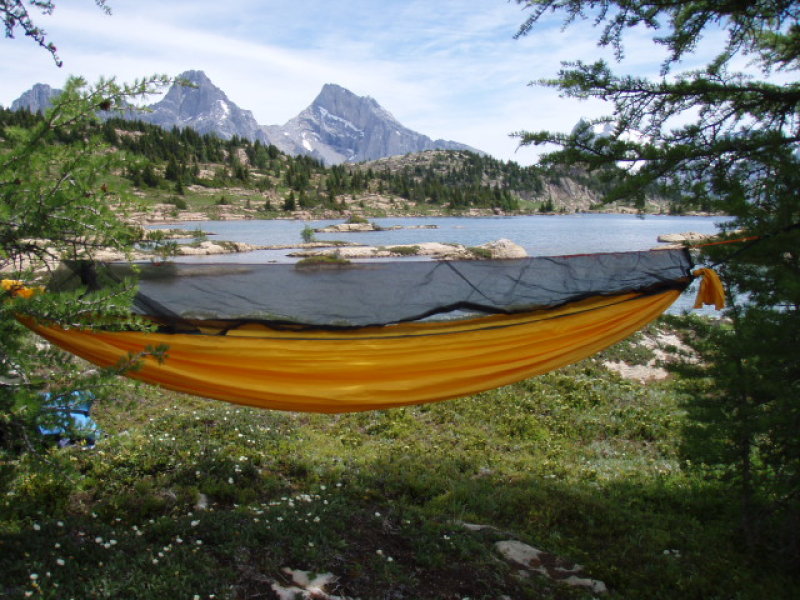 Quite possibly the sweetest hammock hang in the history of the universe.