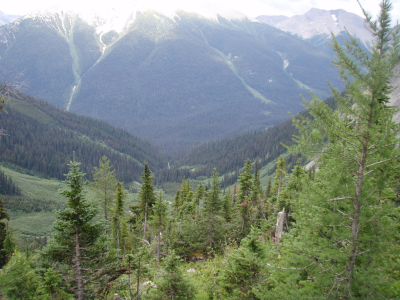 View of the descent from Tumbling pass to Numa Campground