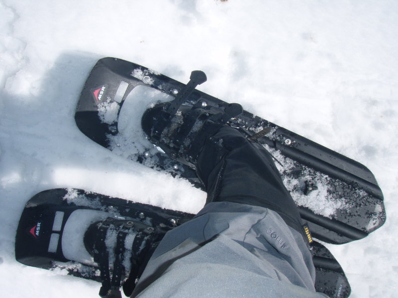 Back on go the snowshoes...