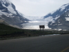 Athabasca Glacier, Tourist shot from the road