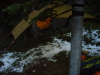 My hammock site in snowbowl campground.