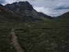 trail descends through the alpine to tekkara.